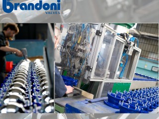 produzione brandonivalves_03_Tavola disegno 1.jpg